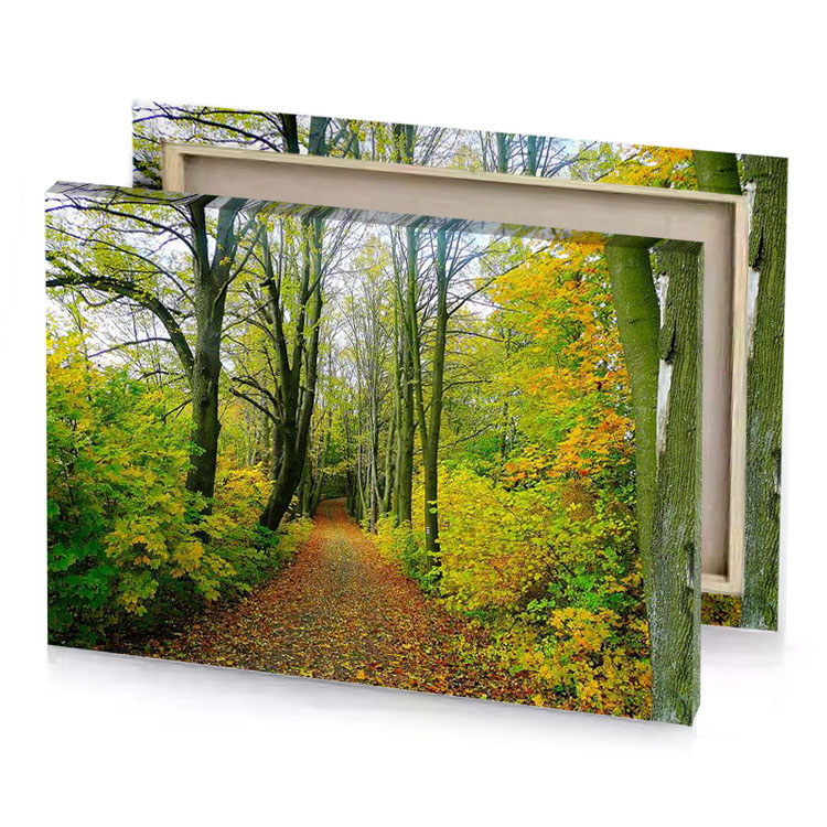a path through forest with lots of trees dark golden rod canvas