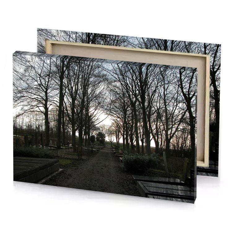 a path through park with benches and trees bistre canvas