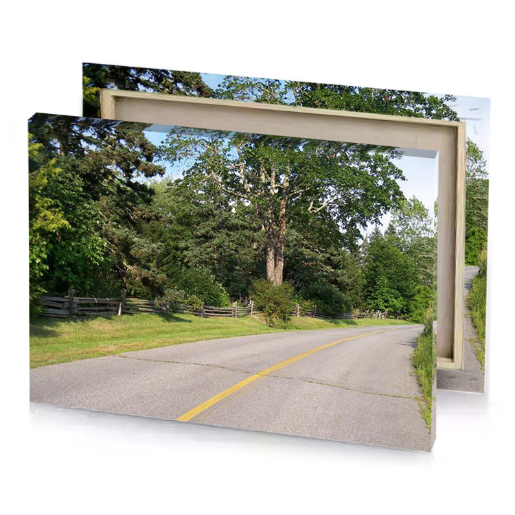 a paved road with bench and tree dark olive green canvas