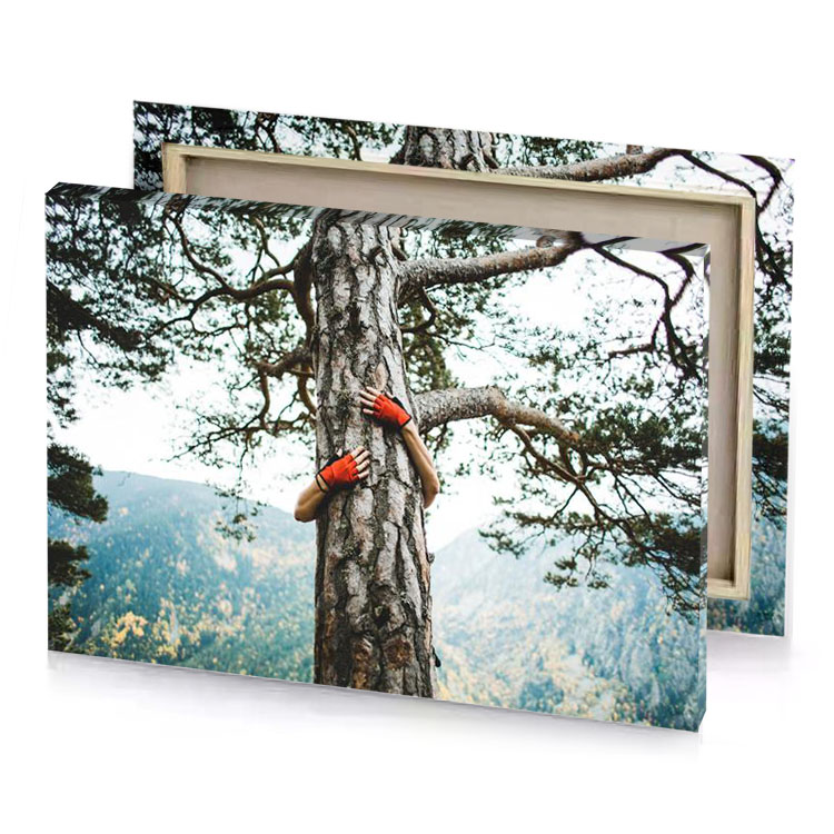 a person climbing up tree with pair of gloves platinum canvas