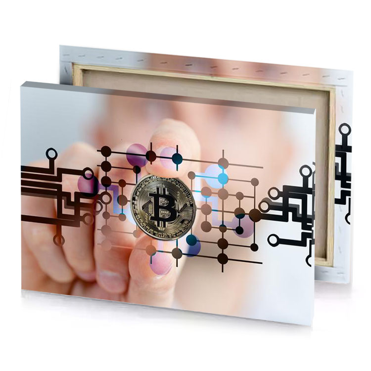 a person holding bit coin in their hand silver canvas