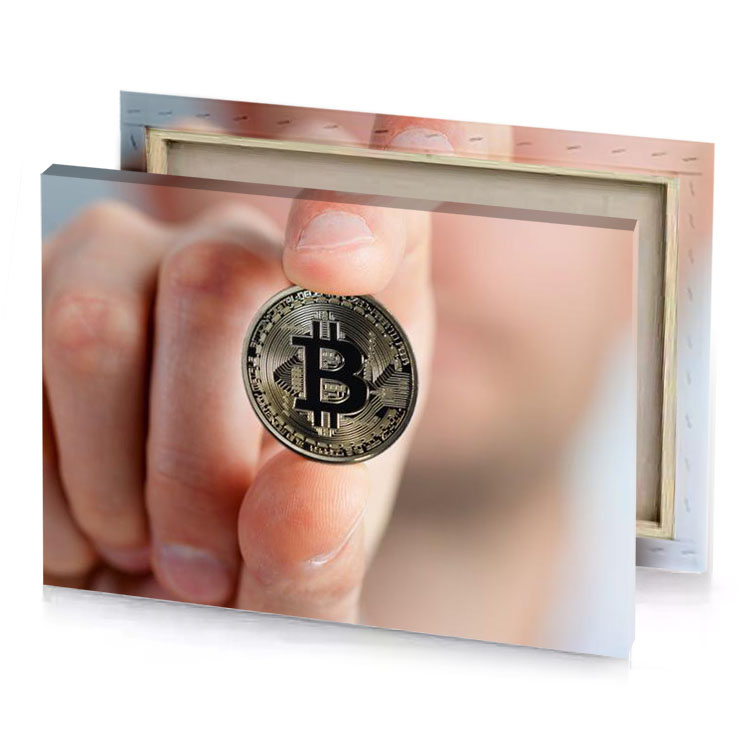 a person holding bit coin lavender canvas