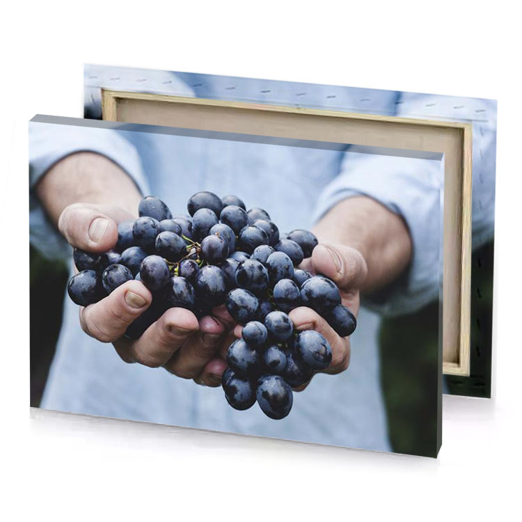 a person holding bunch of grapes in their hands charcoal canvas
