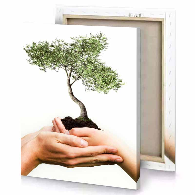 a person holding small tree in their hands dark sea green canvas