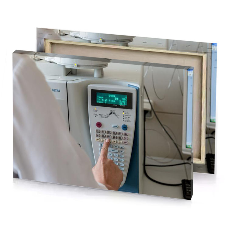 a person is using calculator manatee canvas