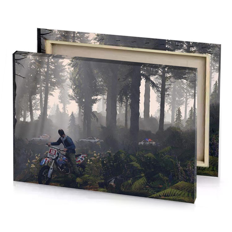 a person riding motorcycle through forest dim gray canvas