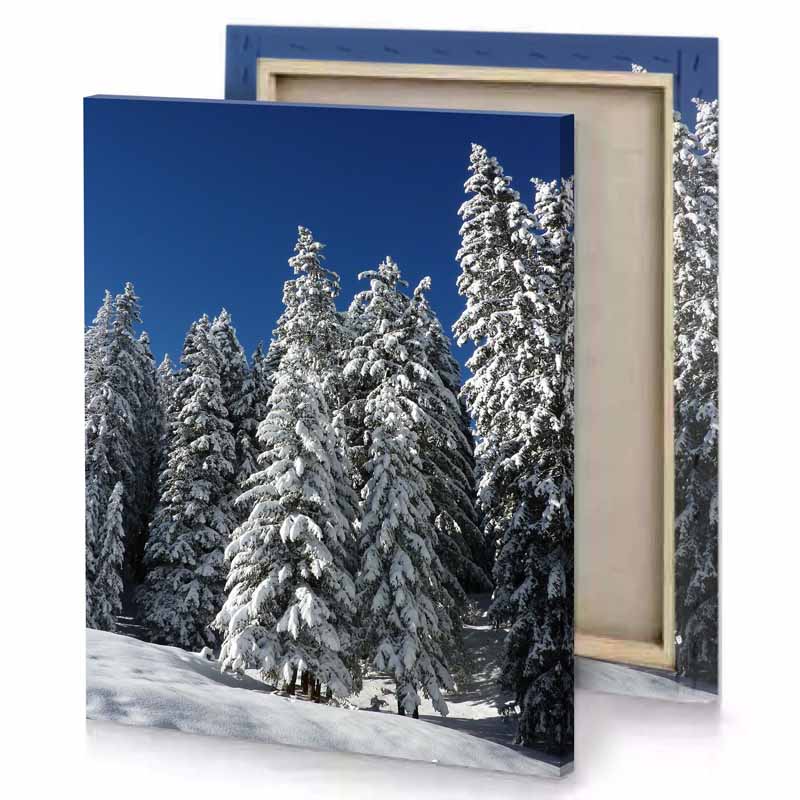a person skiing down snowy slope with trees in the dark cornflower blue canvas