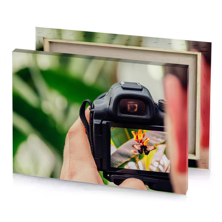 a person taking picture of flower smoky black canvas