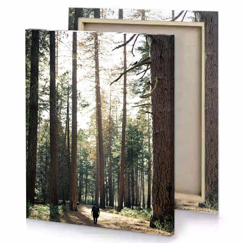 a person walking down path through forest linen canvas