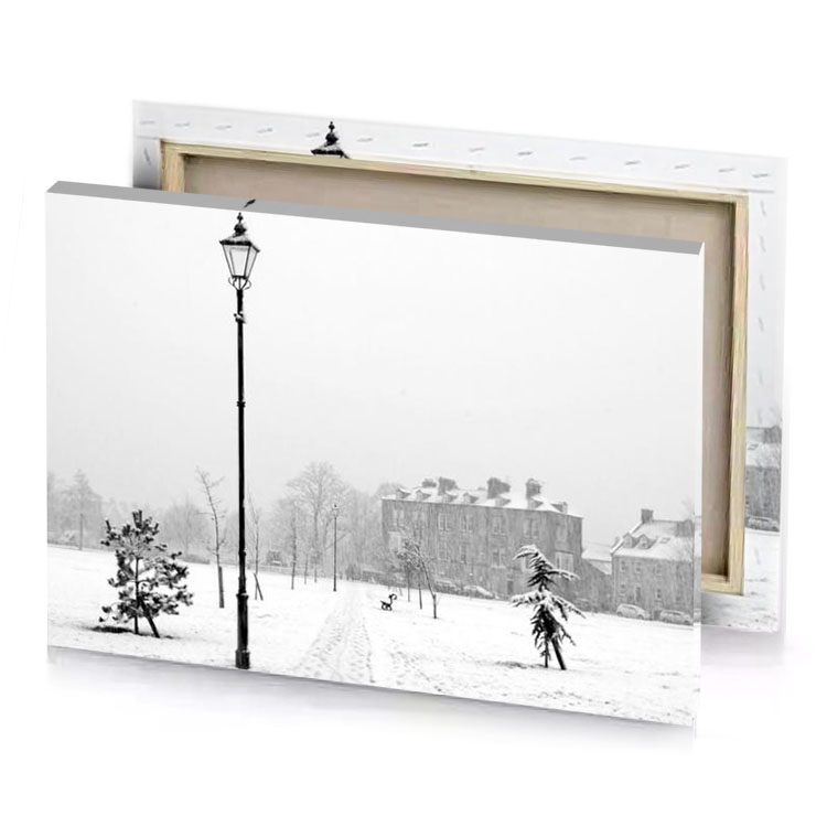 a person walking in the snow near street light silver canvas