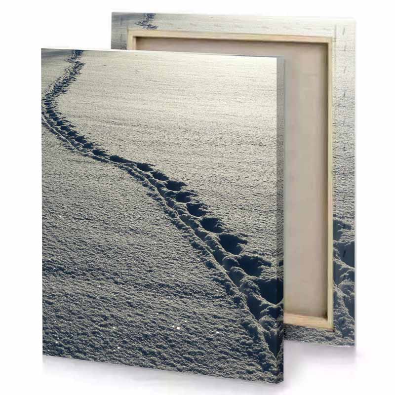 a person walking on snow covered path silver canvas