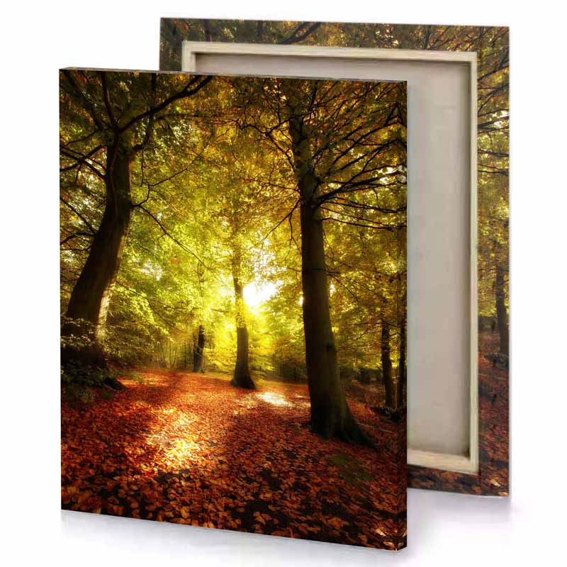a person walking through forest filled with leaves dark golden rod canvas