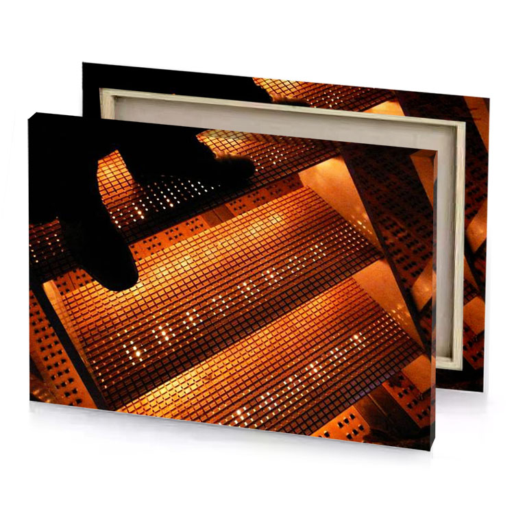 a person walking up set of stairs chocolate canvas