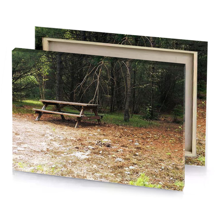 a picnic table in the woods near trail tan canvas