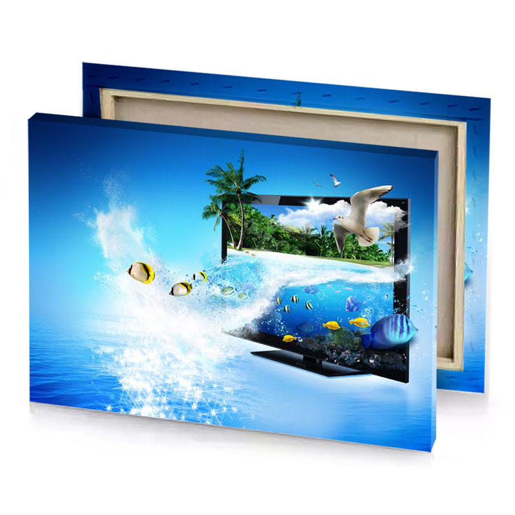a picture of fish in tank baby blue canvas