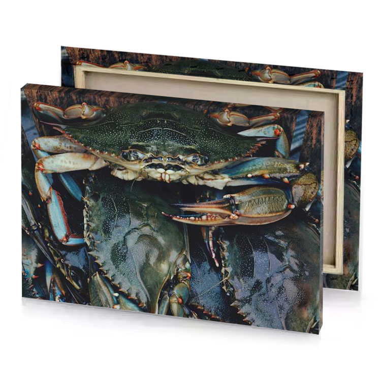a pile of blue crabs in bucket rosy brown canvas