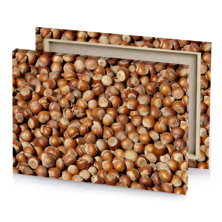 a pile of onions zinnwaldite brown canvas