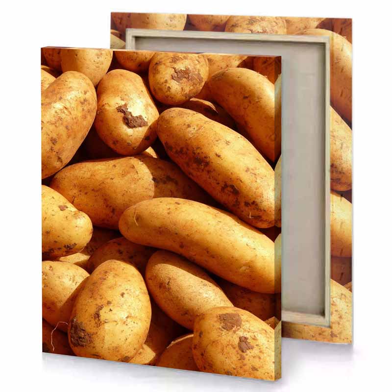 a pile of potatoes peru canvas
