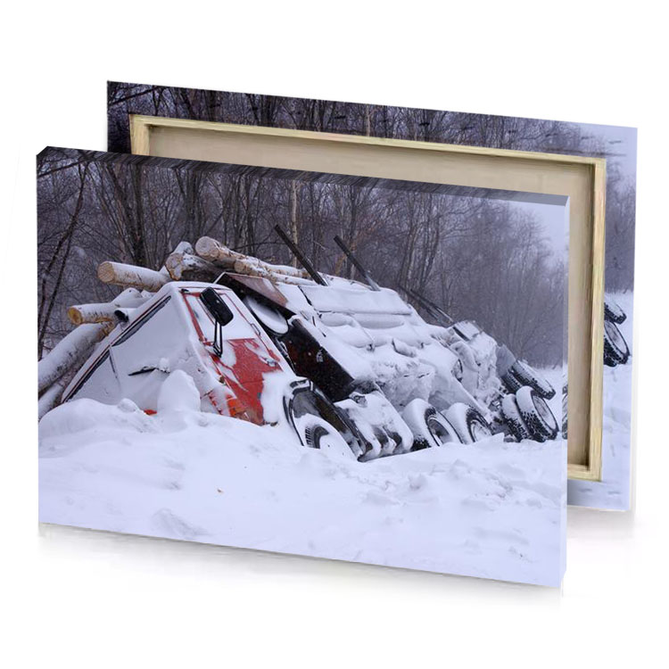 a pile of snow garnet canvas