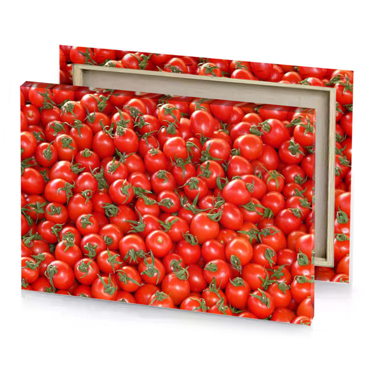 a pile of tomatoes lust canvas