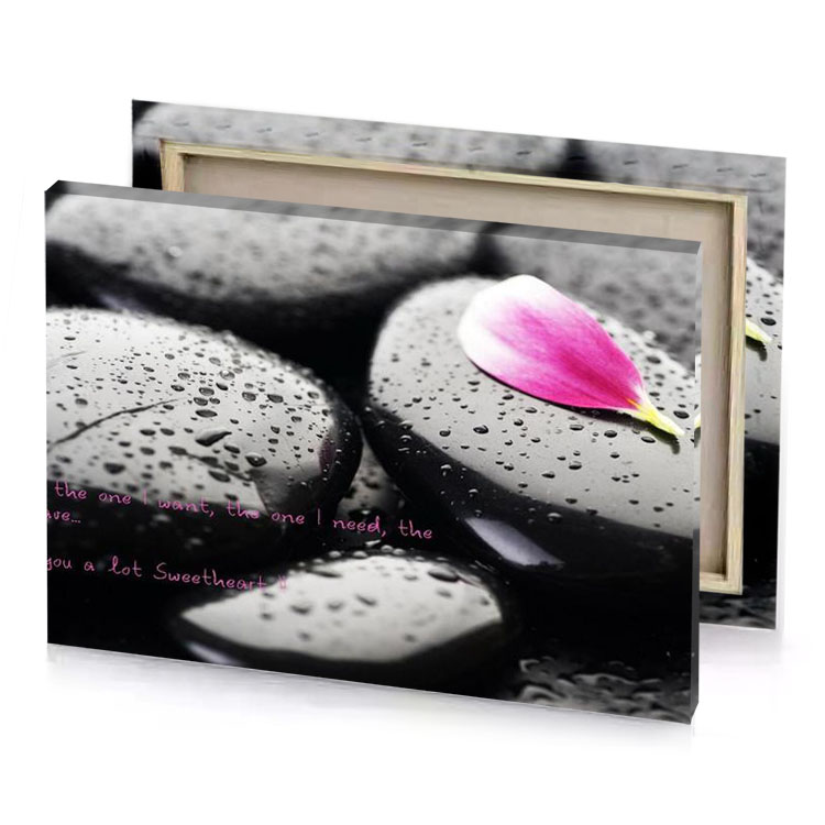 a pink flower sitting on top of black stones smoky canvas
