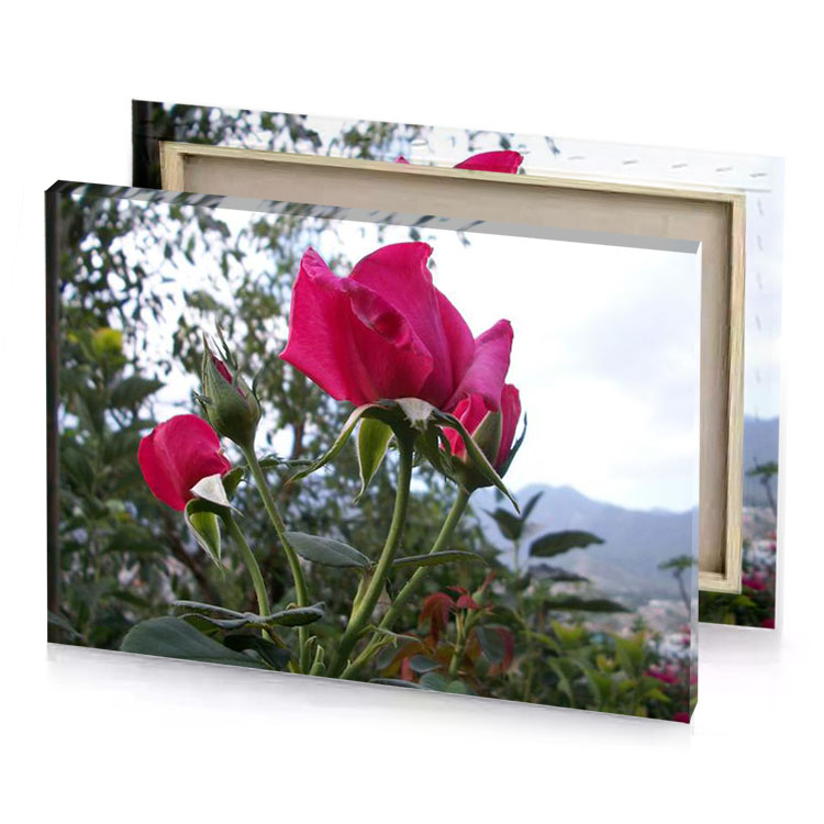 a pink flower with green stem brown canvas