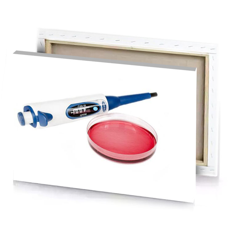 a pink gel with blue handle and white tube light coral canvas