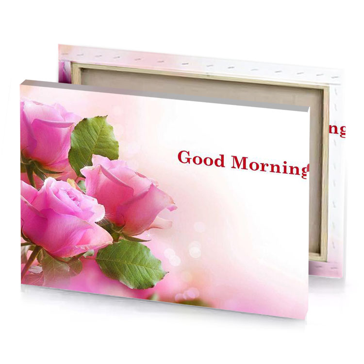 a pink rose with the words god morning indian red canvas