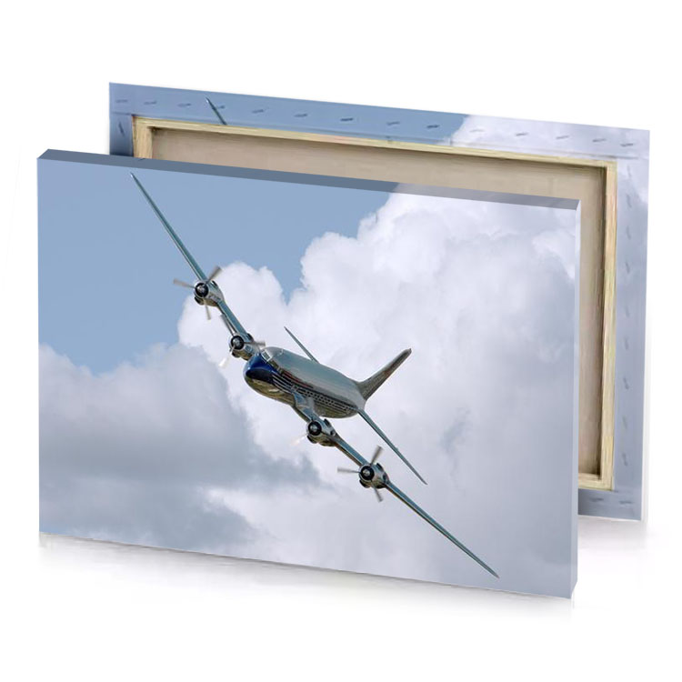 a plane flying in the sky lavender canvas