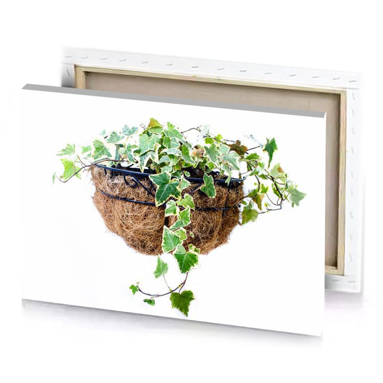 a planter with ivys growing in it camouflage green canvas