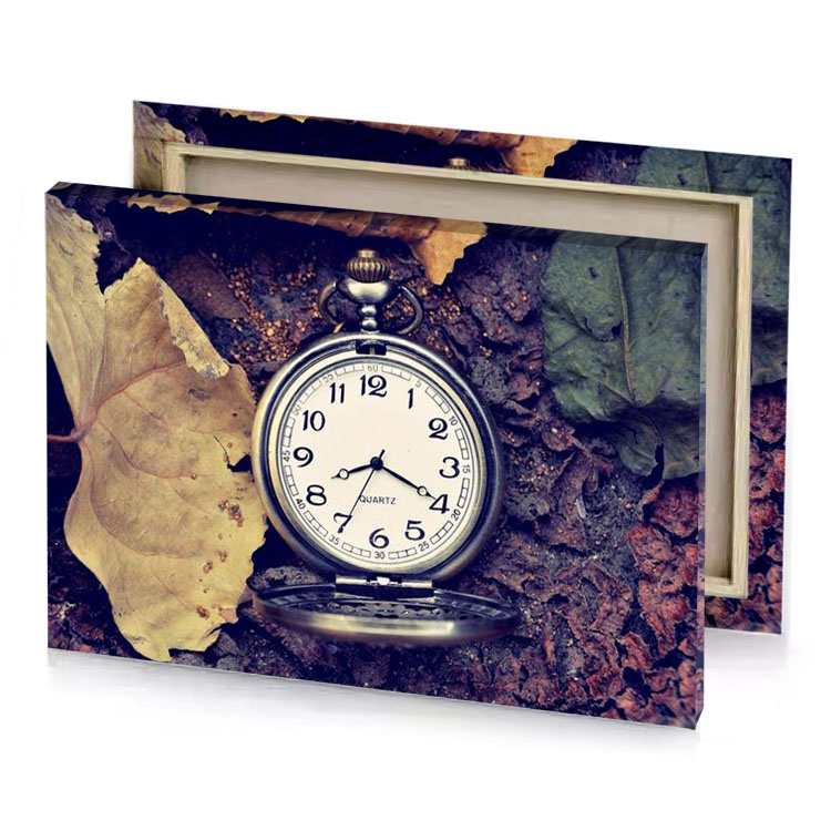 a pocket watch sitting on the ground with leaves linen canvas