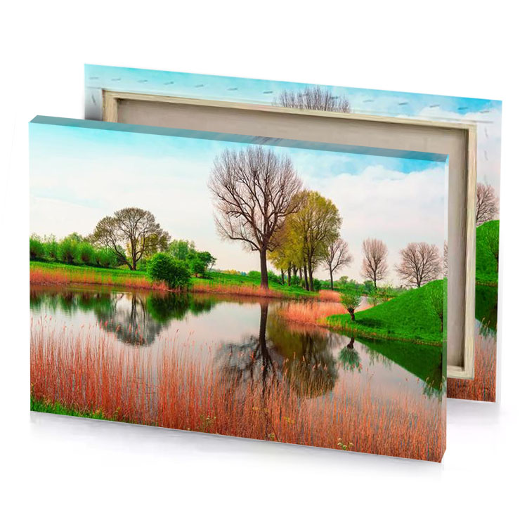 a pond with tree in the middle platinum canvas