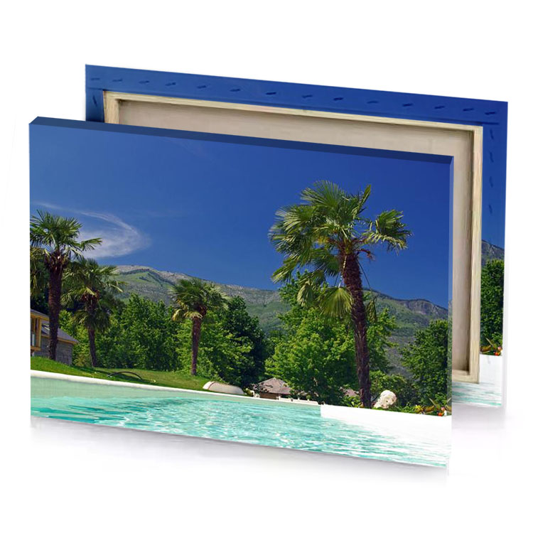 a pool with palm tree and house in the background dark olive green canvas