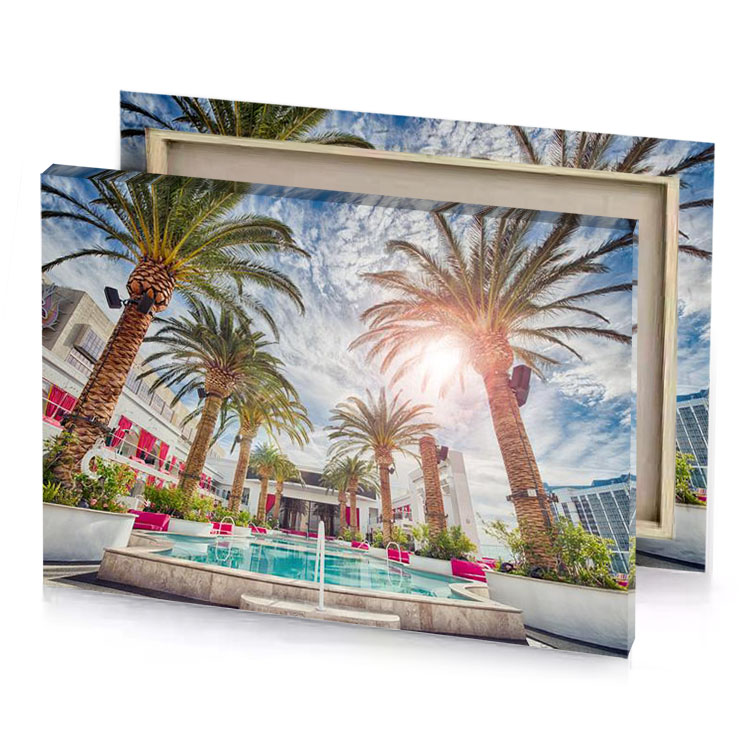 a pool with palm trees and fountain platinum canvas