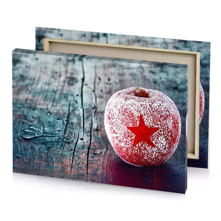 a red apple with star on it thistle canvas