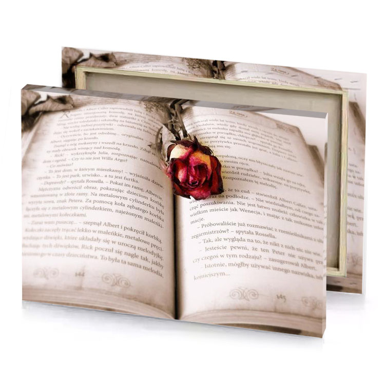 a rose on book burgundy canvas