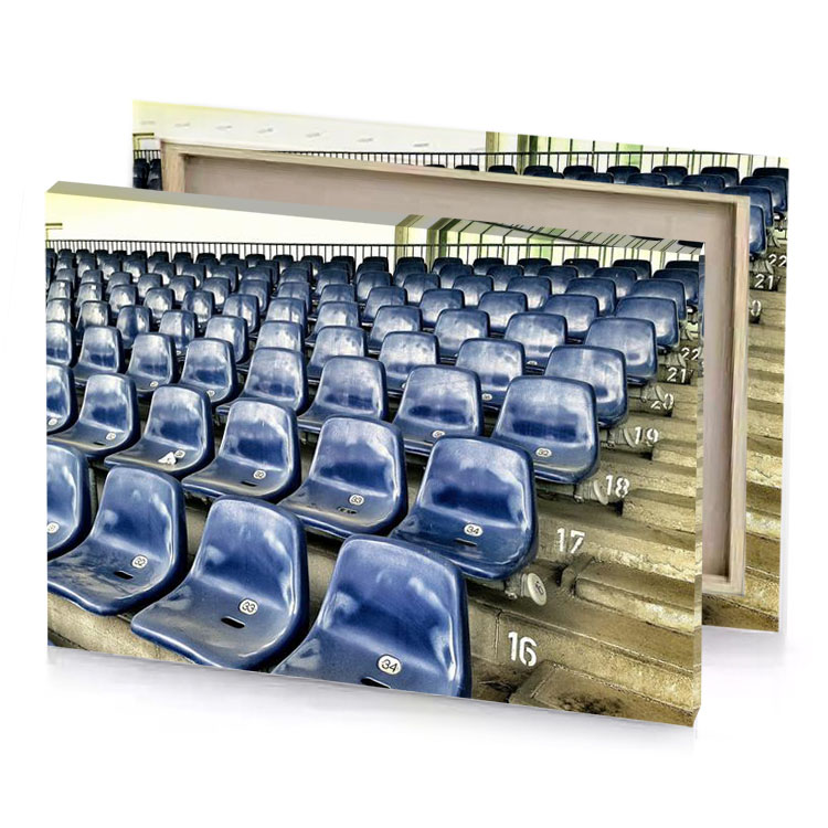 a row of blue seats manatee canvas
