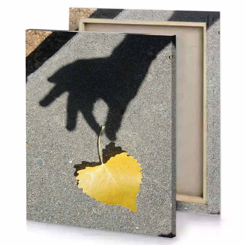 a shadow of person holding leaf yellow orange canvas