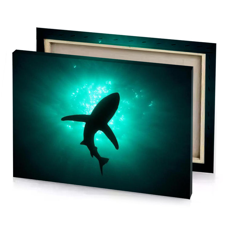 a shark swimming in the ocean robin egg blue canvas