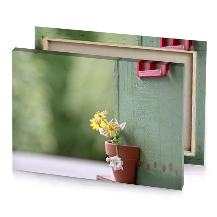 a small flower in pot on shelf hunter green canvas