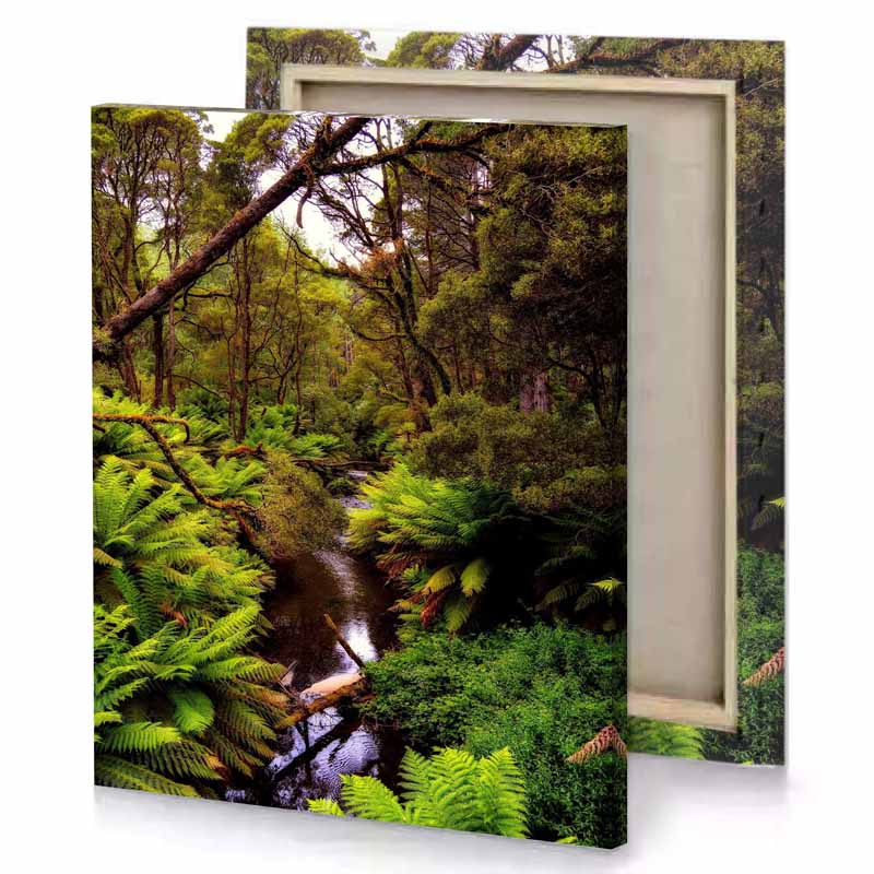 a stream in the middle of forest sepia canvas