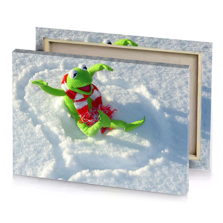 a stuffed frog in the snow olive drab canvas