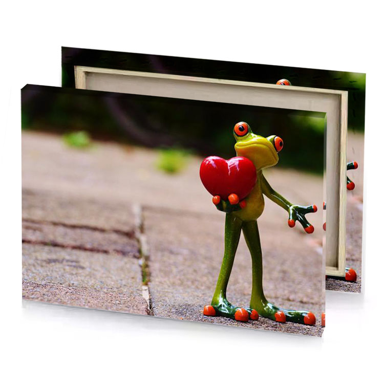 a toy frog holding heart shaped object silver canvas
