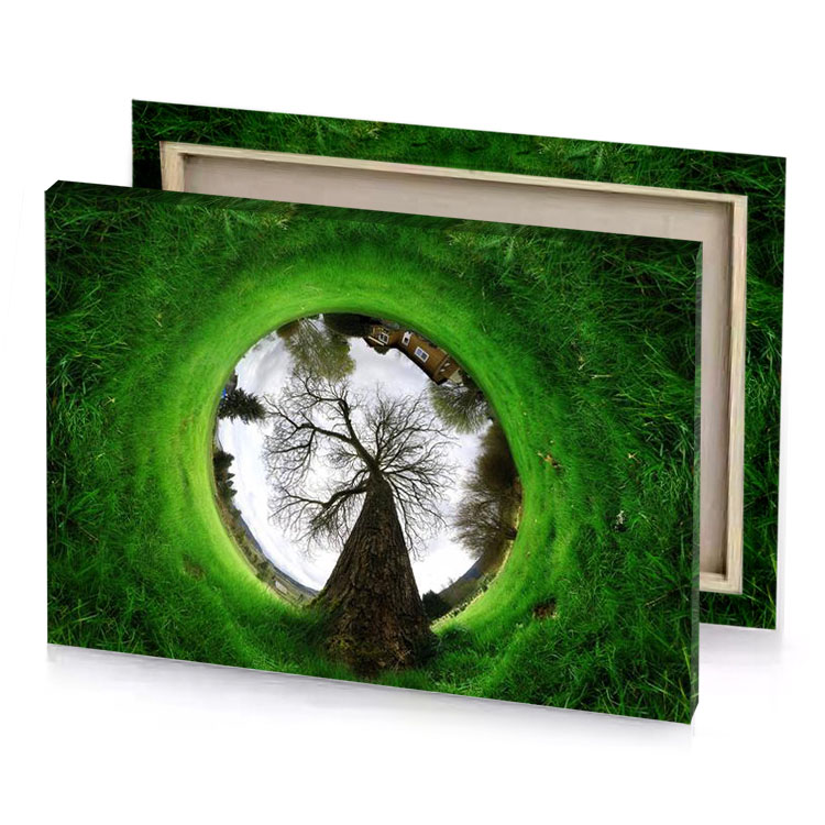 a tree in circle slimy green canvas