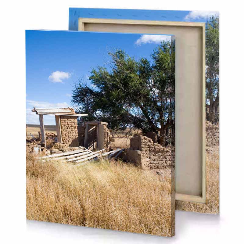a tree in the field iceberg canvas