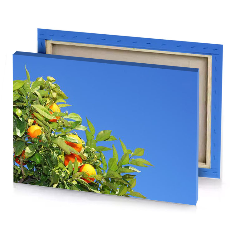 a tree with oranges growing on it yellow green canvas