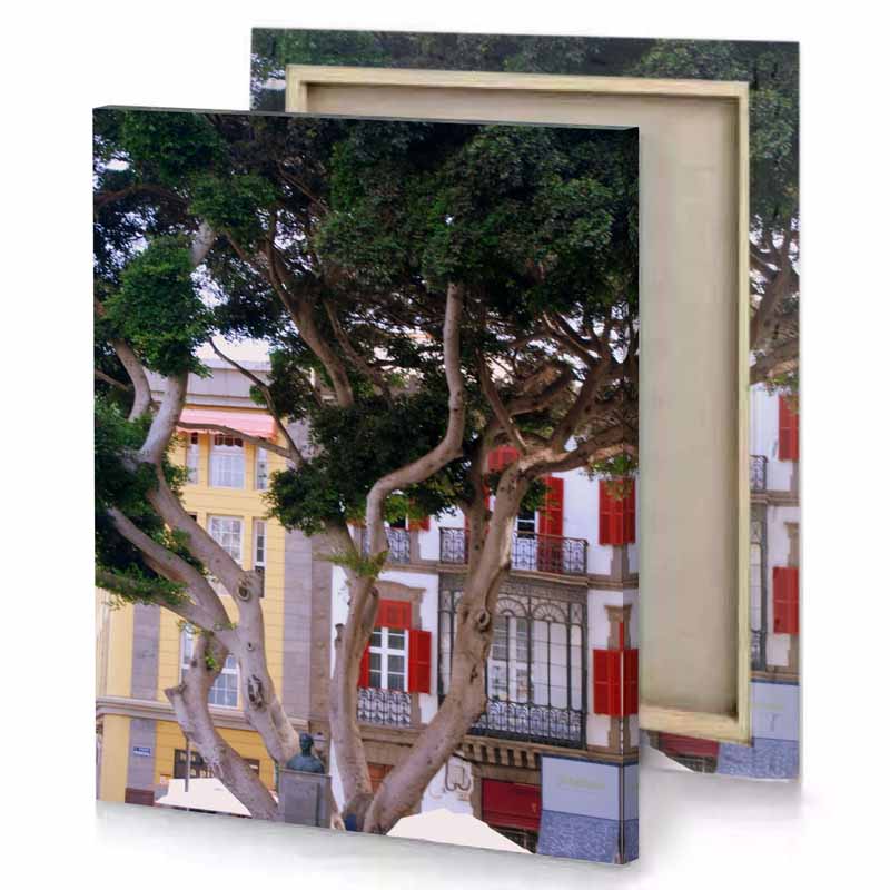a tree with red shutters smoky black canvas