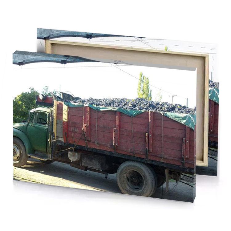 a truck with load of grapes on the back garnet canvas