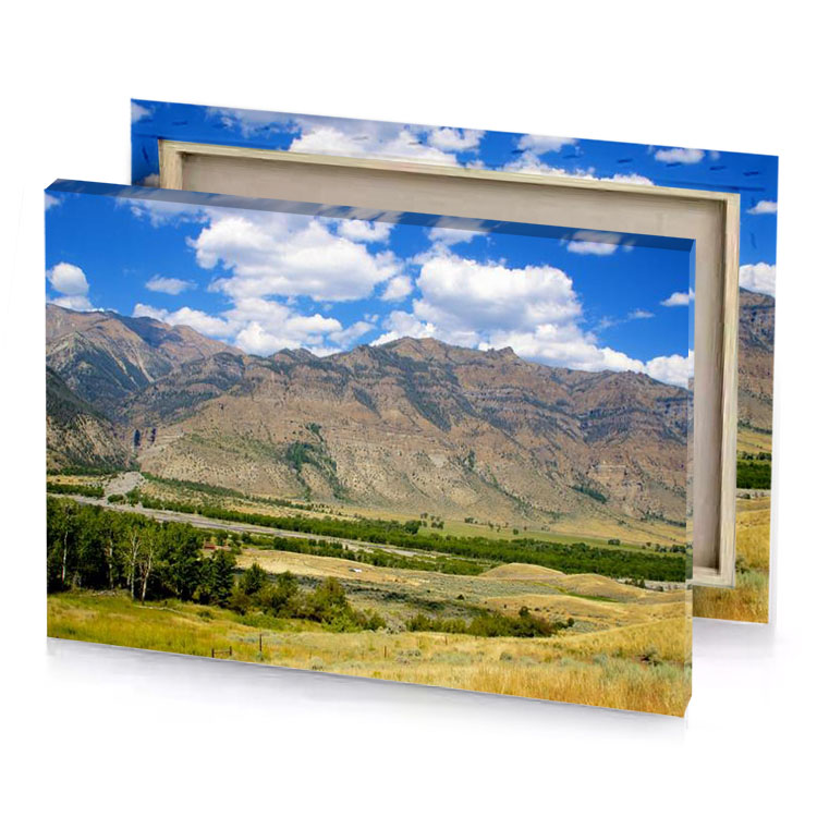 a view of valley with mountain in the background rosy brown canvas