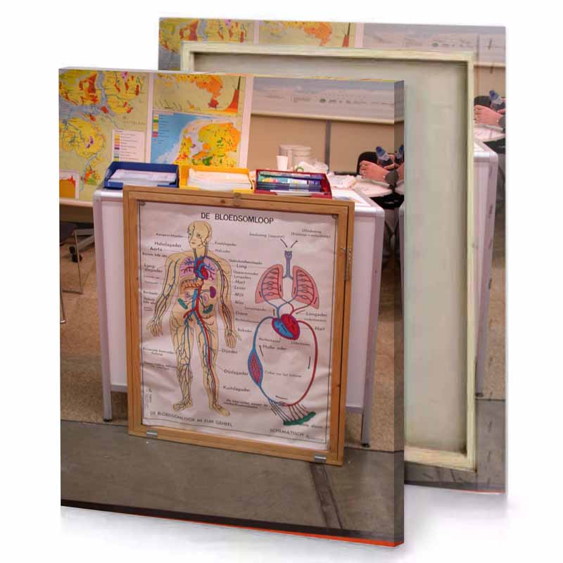 a white board with diagram of the human body rosy brown canvas
